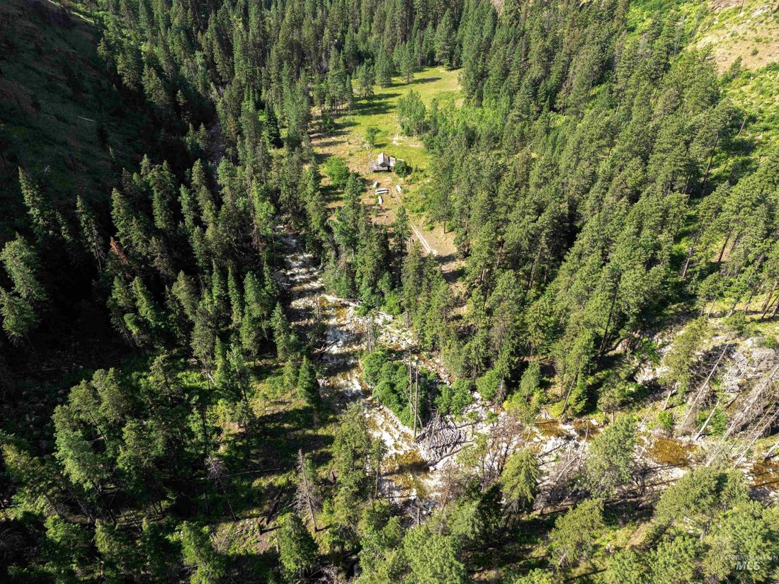 Farm Ranch in Riggins, Idaho, United States 3 - 17449202