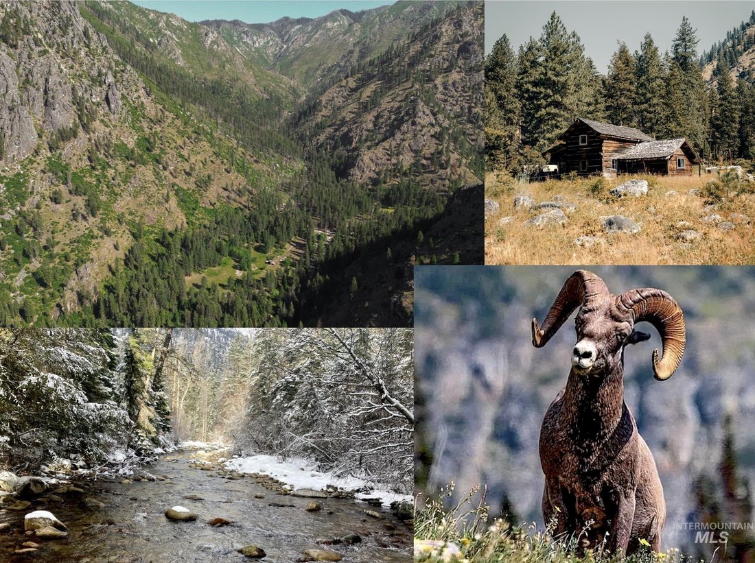 Farm Ranch in Riggins, Idaho, United States 1 - 17449202