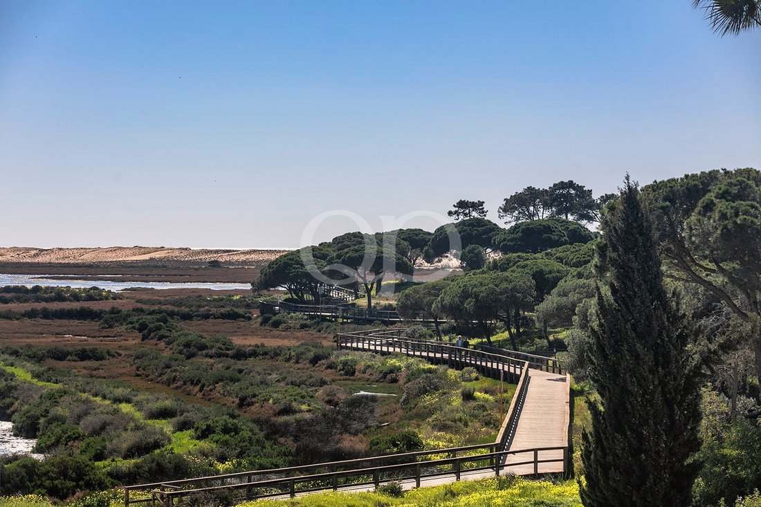 Villa in Almancil, Algarve, Portugal 4 - 17449895