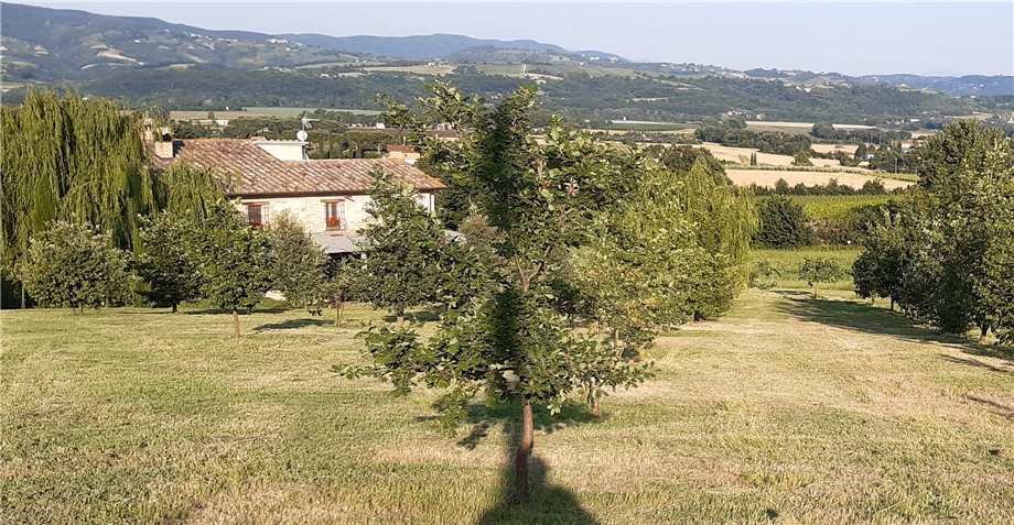Country House in Marsciano, Umbria, Italy 5 - 17449049