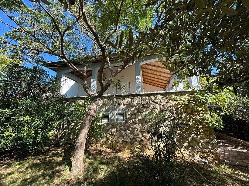 House in Vidalici, Croatia 3 - 17449184