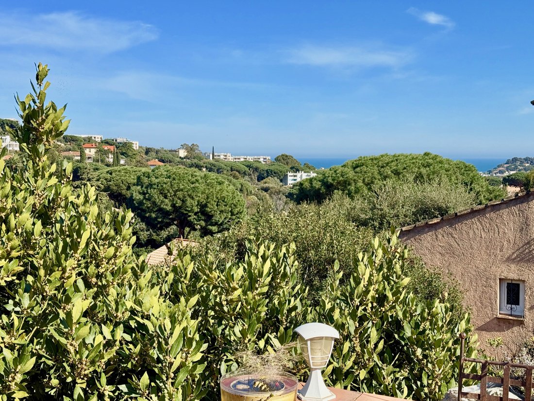 House in Sud, Cavalaire-sur-Mer, France 4 - 15633782