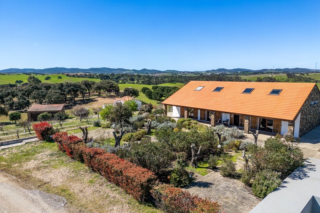 Farm Ranch in Santiago do Cacem, Santa Cruz e Sao Bartolomeu da Serra, Setubal, Portugal 3 - 17449221