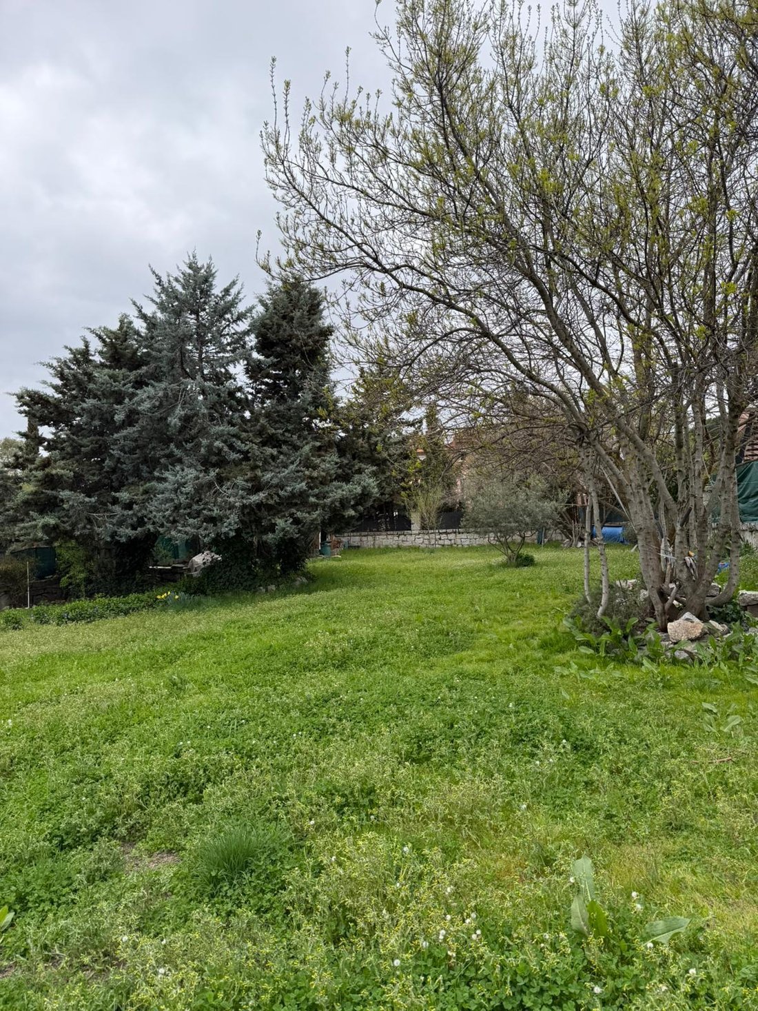 Land in Las Rozas de Madrid, Comunidad de Madrid, Spain 2 - 17449975