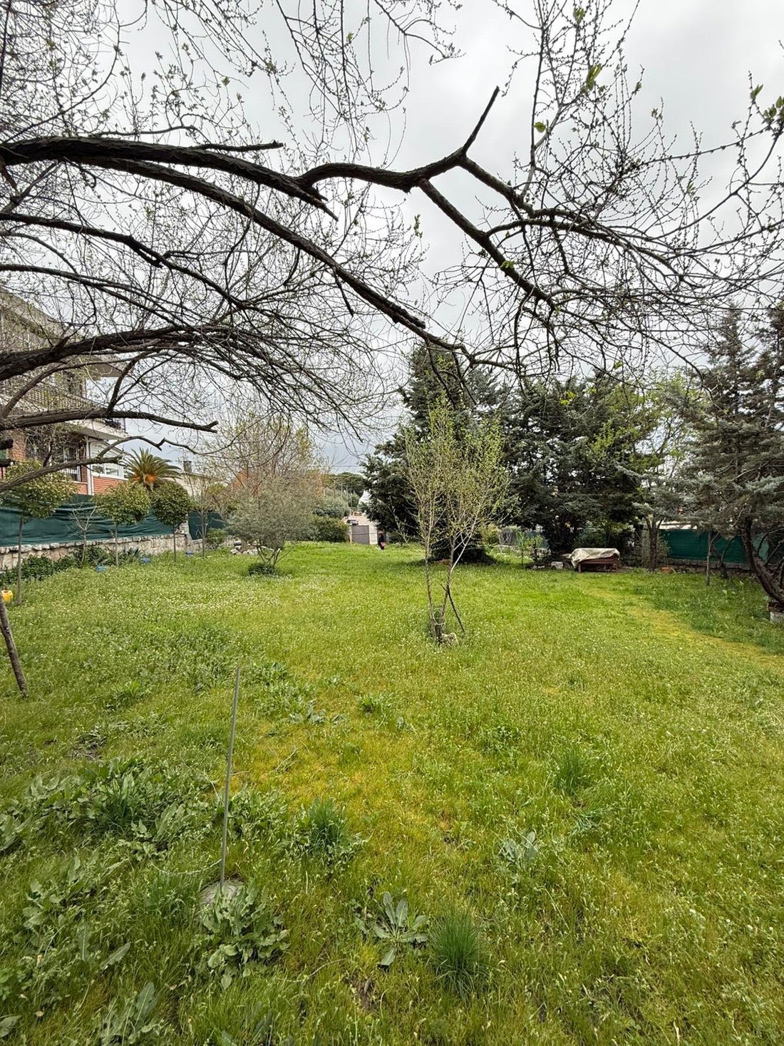Land in Las Rozas de Madrid, Comunidad de Madrid, Spain 4 - 17449975