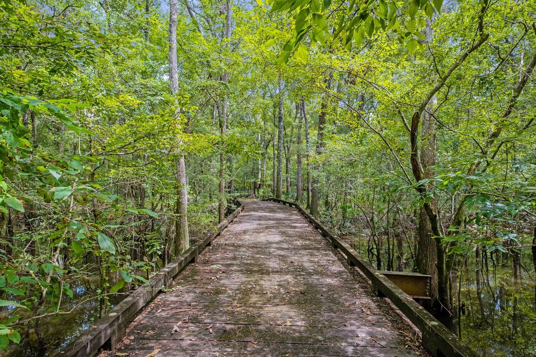 Land in Bruce, Florida, United States 5 - 17450207
