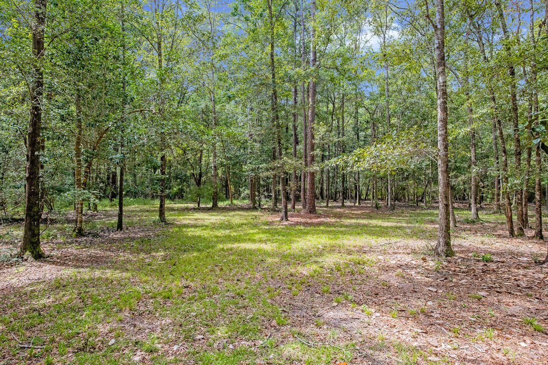 Land in Bruce, Florida, United States 4 - 17450207