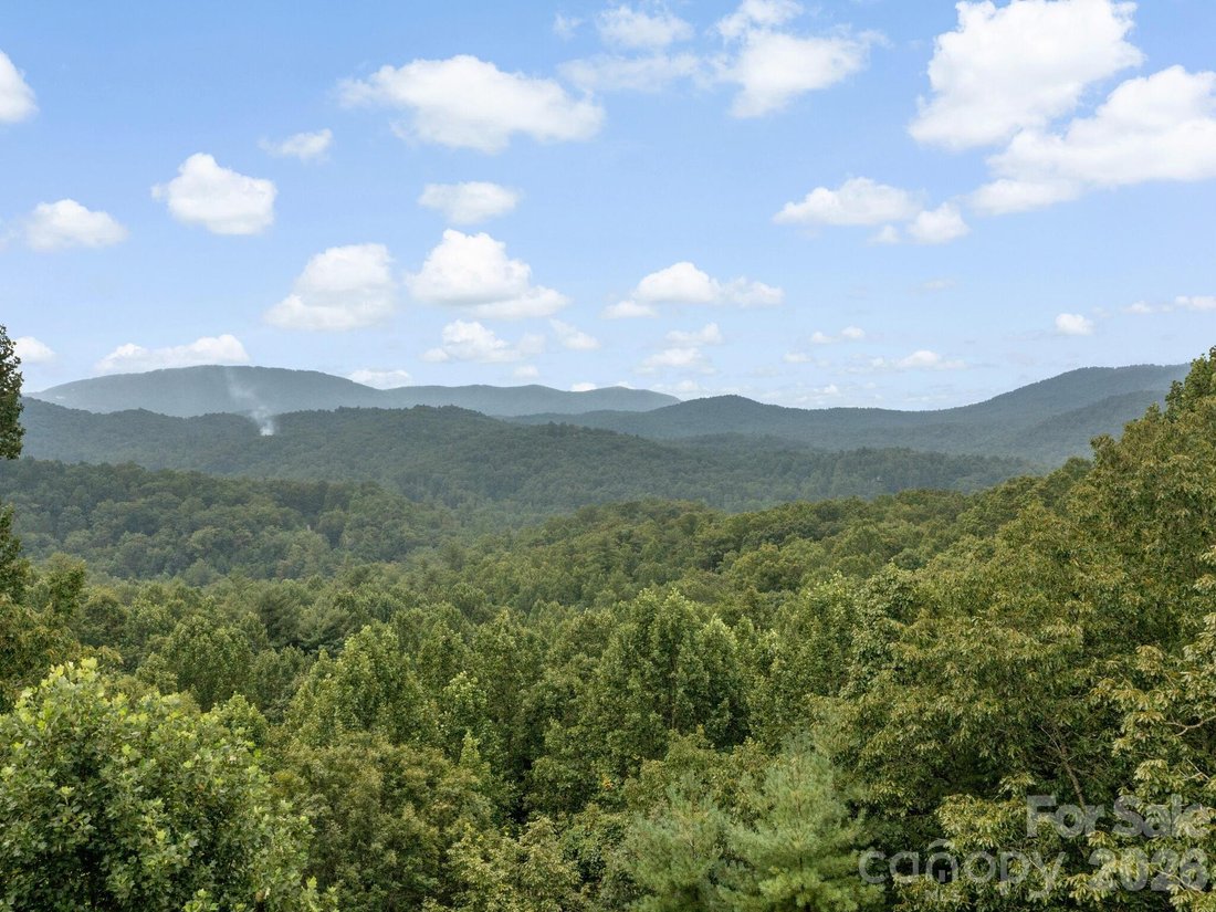 House in Laurel Park, North Carolina, United States 1 - 17450173