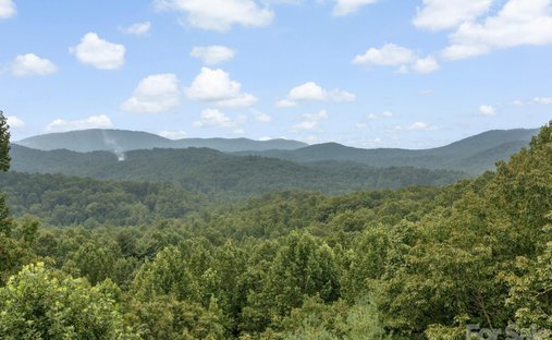 House in Laurel Park, North Carolina, United States 1