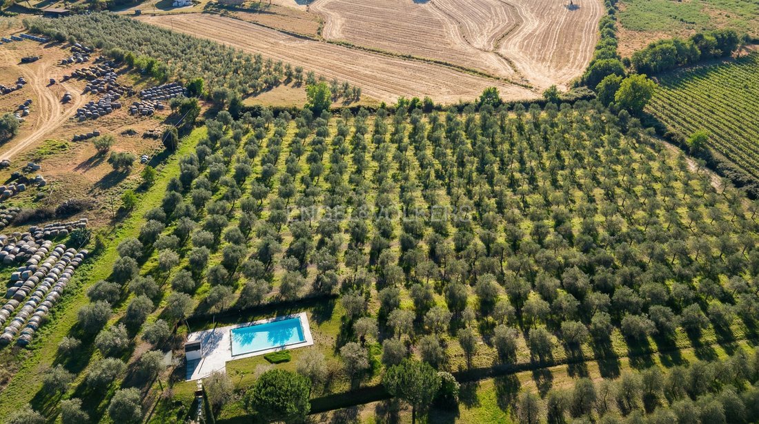 Country House in Grosseto, Tuscany, Italy 3 - 17457876