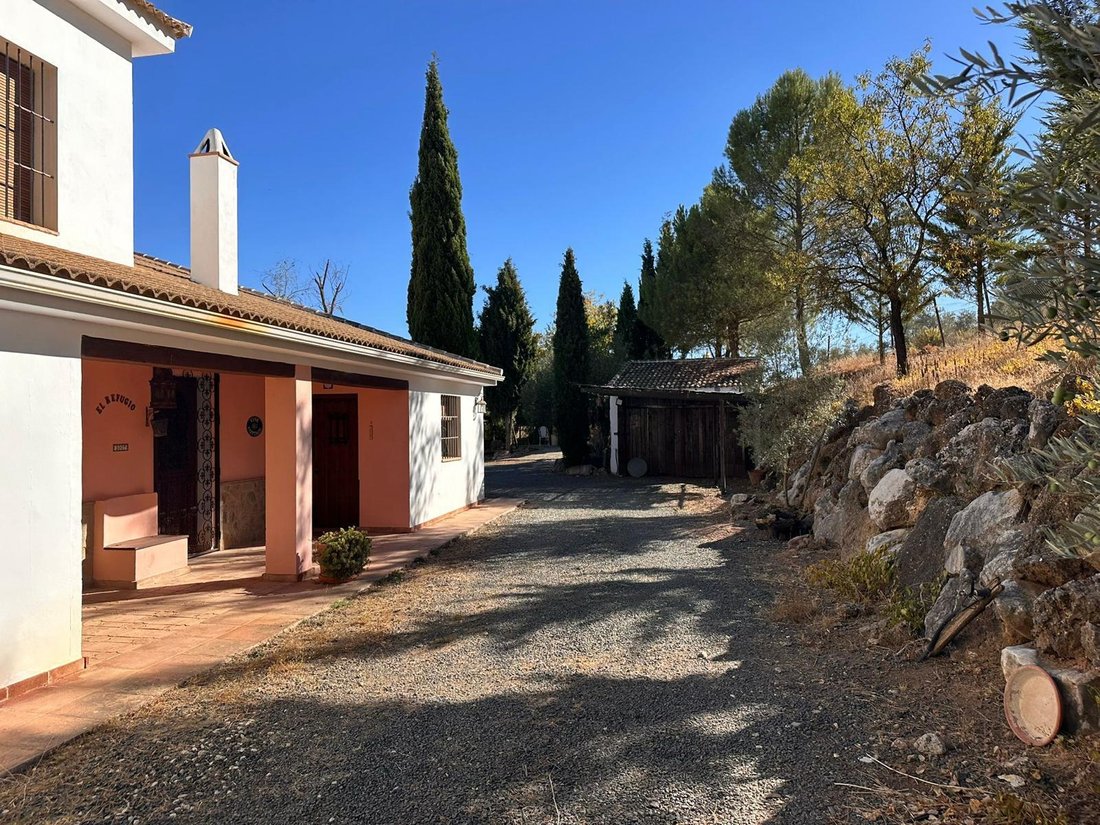 Country House in Archidona, Andalusia, Spain 5 - 17458705