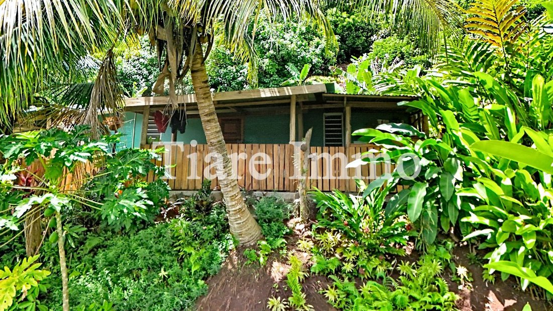 Farm Ranch in Moorea-Maiao, Windward Islands, French Polynesia 1 - 16942031