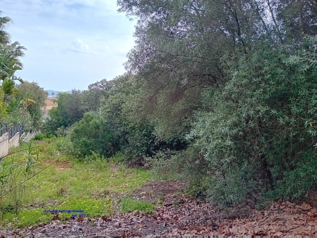 Land in Sotogrande, San Roque, Andalusia 4 - 17453213