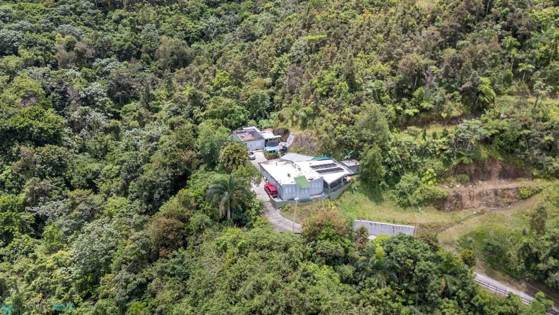 House in Cayey, Cayey, Puerto Rico 3 - 17461955