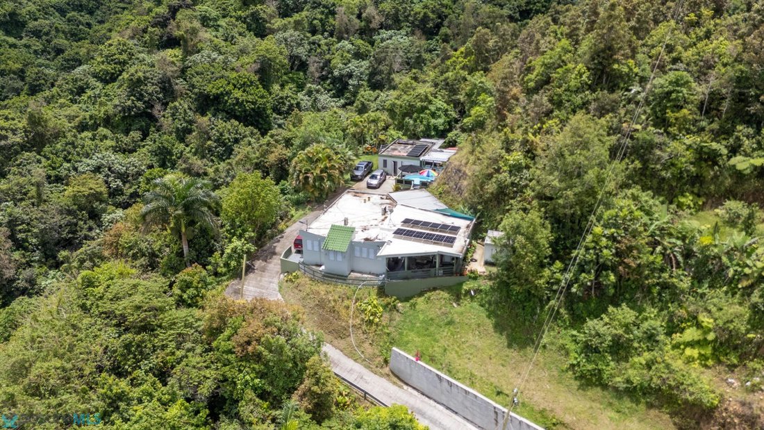 House in Cayey, Cayey, Puerto Rico 5 - 17461955