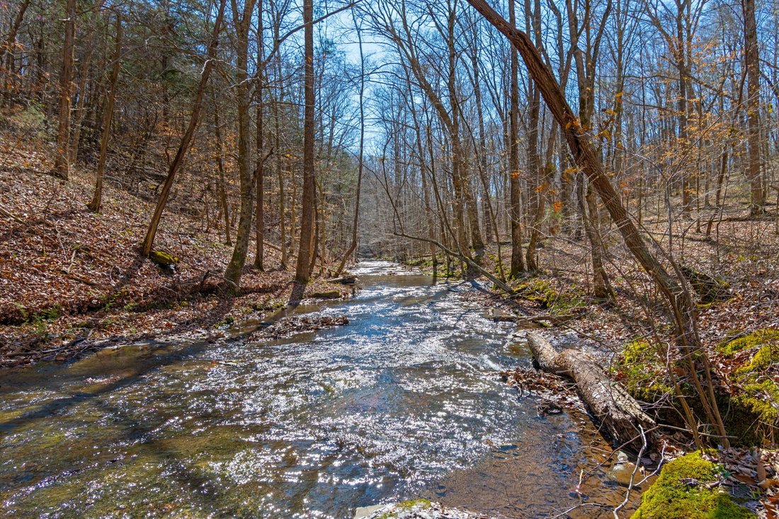 Land in Charlotte, Tennessee, United States 3 - 17451104