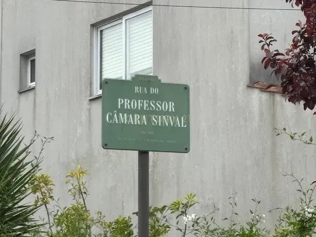 Land in Lordelo do Ouro e Massarelos, Porto District, Portugal 4 - 17454884