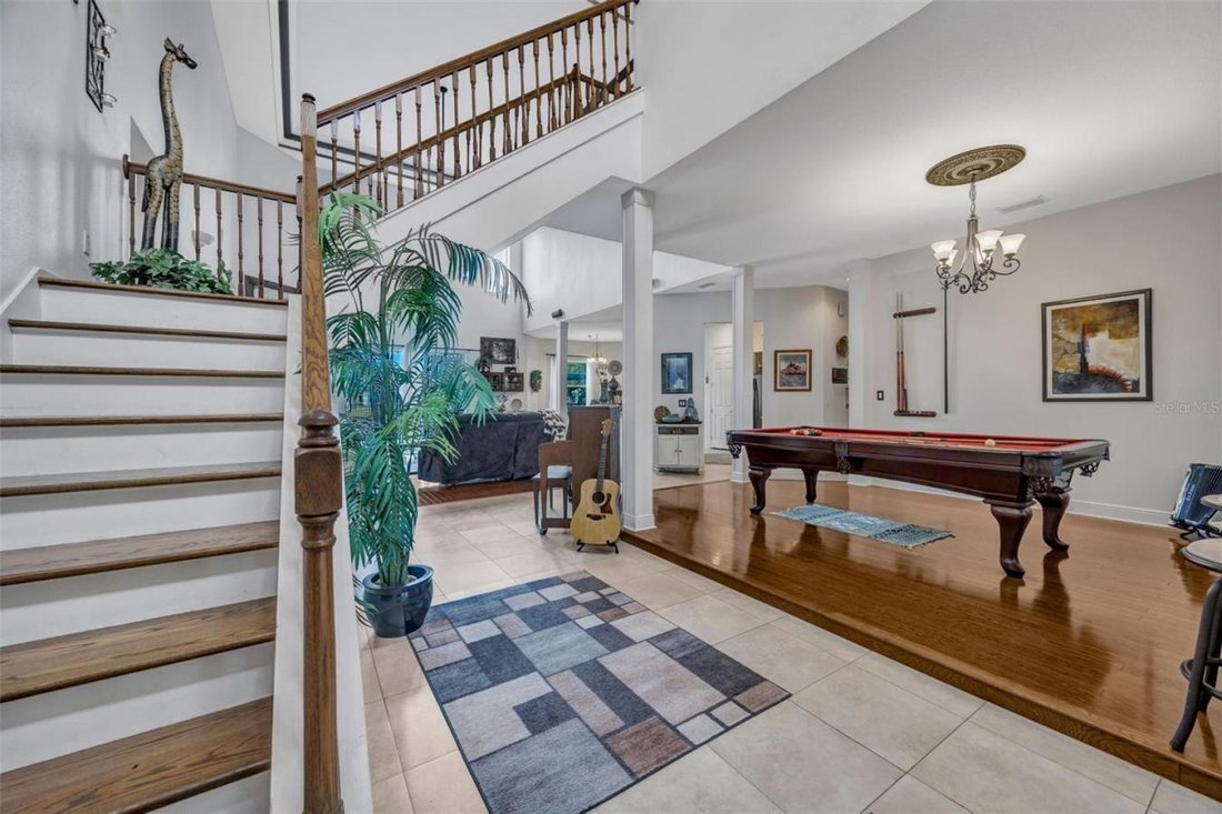 House in Lutz, Florida, United States 5 - 17457317