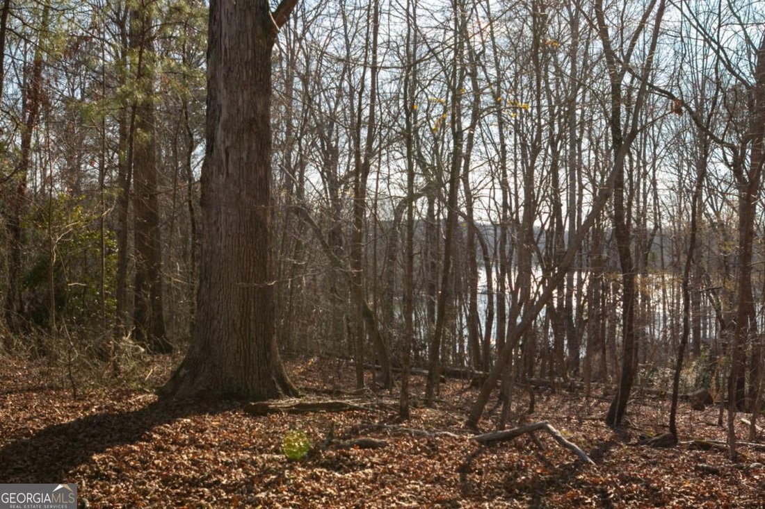 Land in Gainesville, Georgia, United States 5 - 17460400
