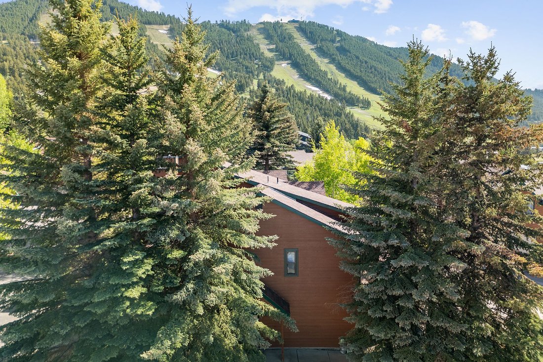 House in Jackson, Wyoming, United States 4 - 17450262
