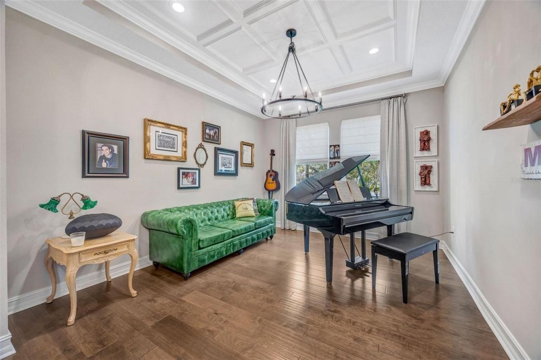 House in Wesley Chapel, Florida, United States 5 - 17457306