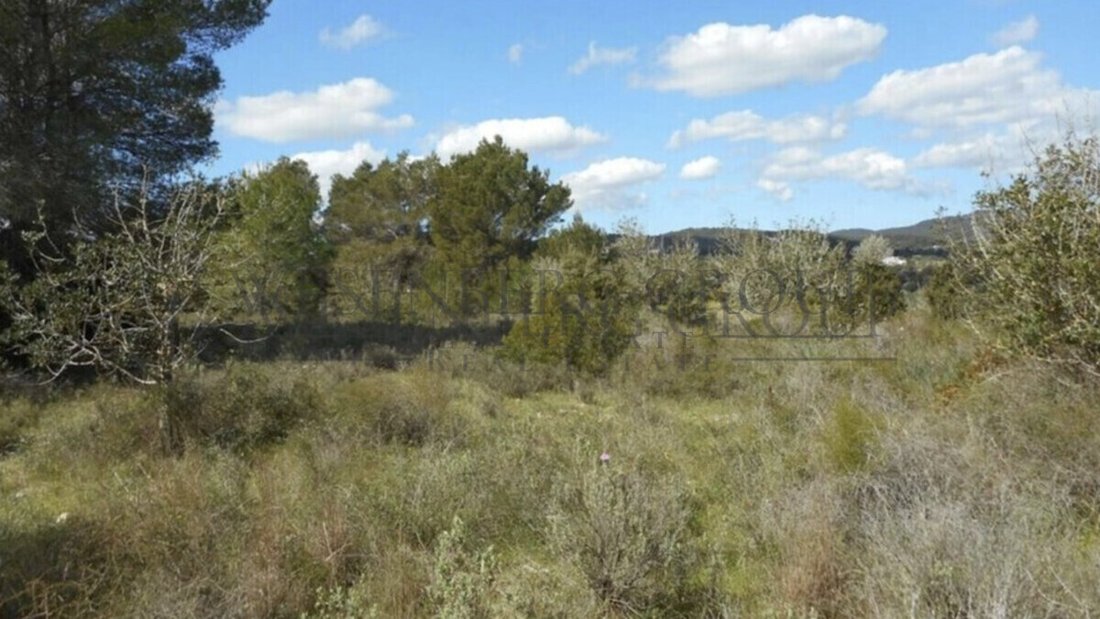 Land in Santa Gertrudis de Fruitera, Santa Eularia des Riu, Balearic Islands 4 - 17451469