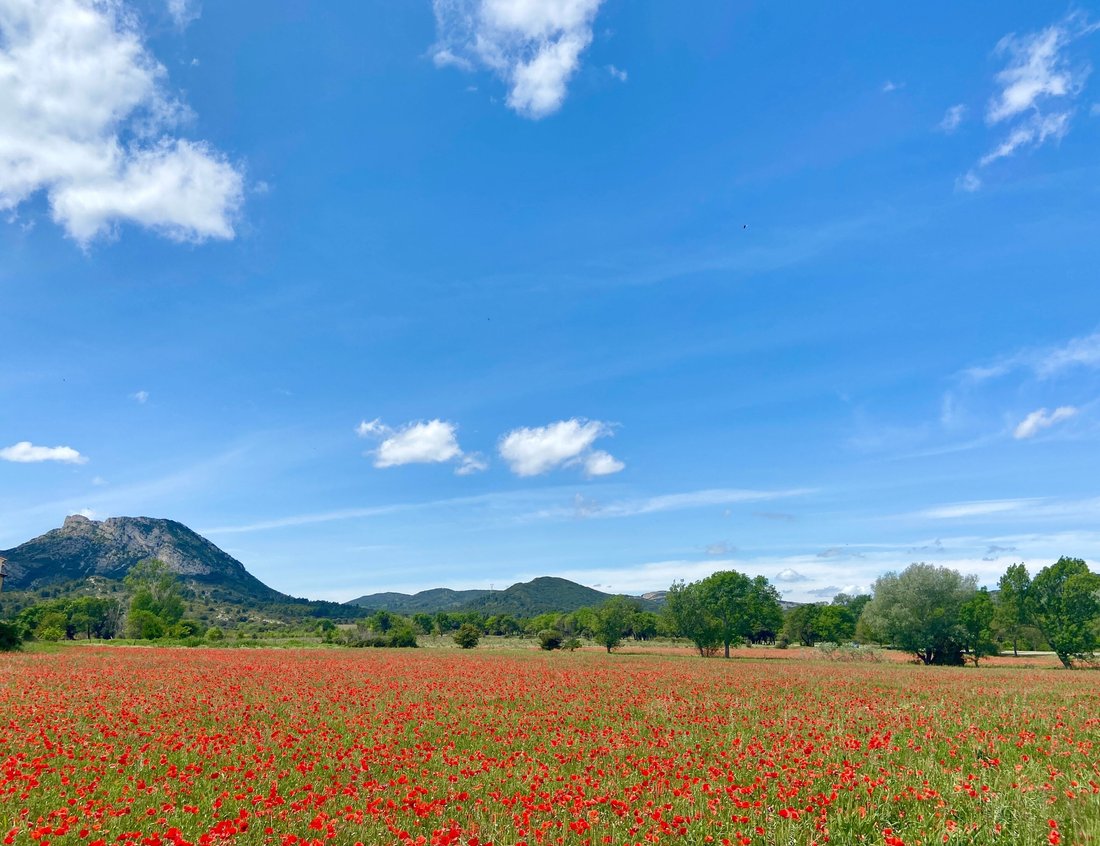 House in Eygalières, Provence-Alpes-Côte d'Azur, France 4 - 17454668
