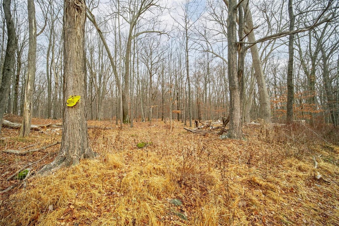 Land in Hopewell Junction, New York, United States 3 - 15021165