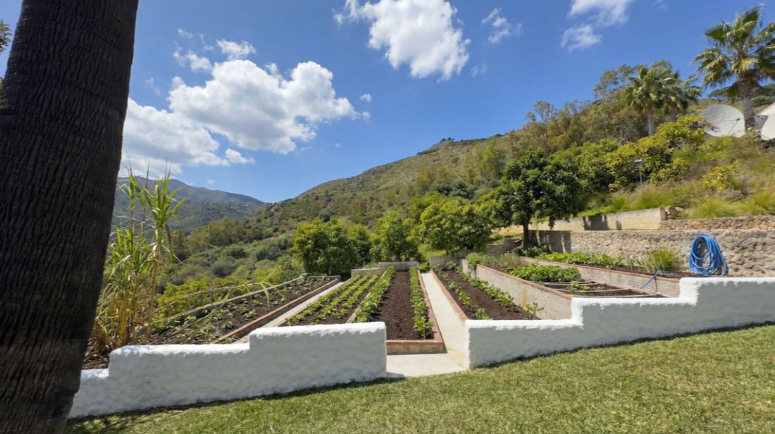 Villa à Centro, Malaga, Espagne 5 - 17460981