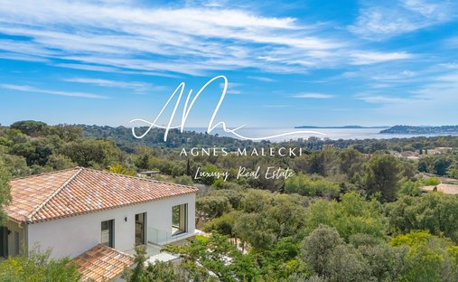 Estate in La Croix-Valmer, Provence-Alpes-Côte d'Azur, France 1