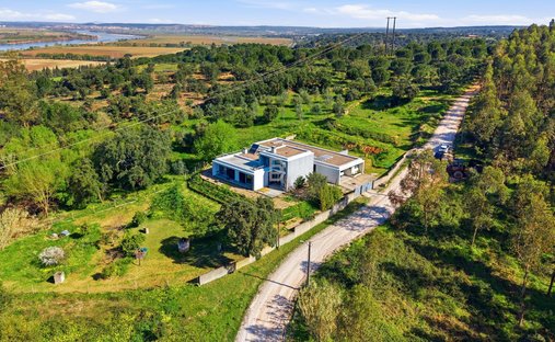 Villa en Chamusca e Pinheiro Grande, Distrito de Santarém, Portugal 1