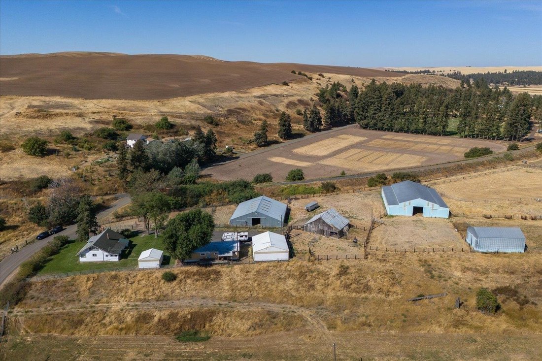 House in Rosalia, Washington, United States 1 - 17459666