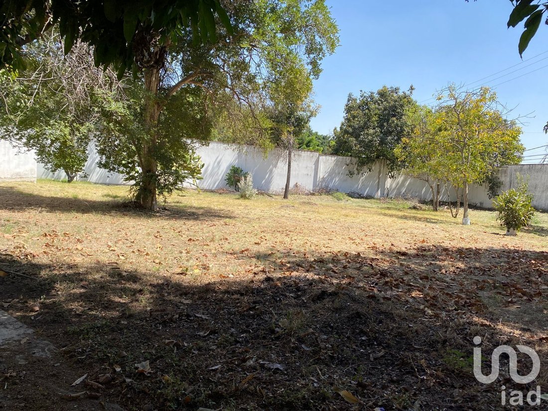 House in Los Gavilanes, Jalisco, Mexico 4 - 17459083