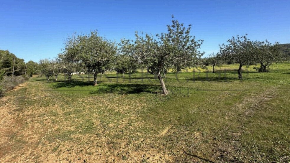 Land in Santa Gertrudis de Fruitera, Santa Eularia des Riu, Balearic Islands 3 - 17451469