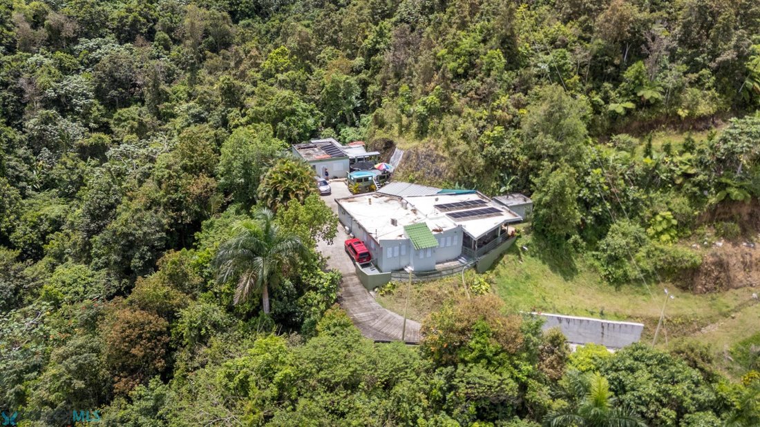 House in Cayey, Cayey, Puerto Rico 4 - 17461955