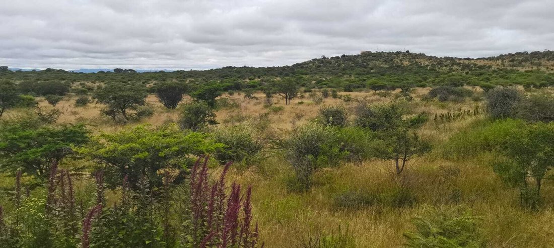 Farm Ranch in Seshego-A, Limpopo, South Africa 5 - 17451834