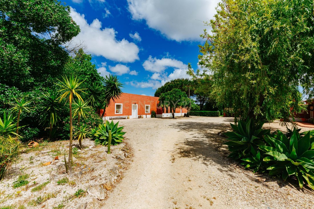 Villa in S.Teotónio, Beja District, Portugal 1 - 17454958