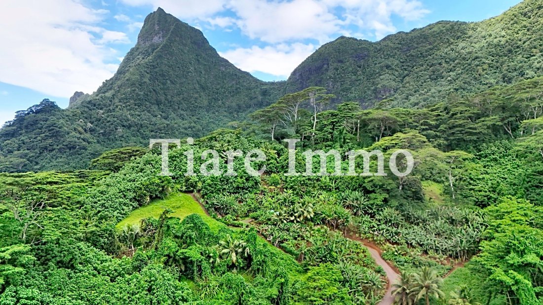 Farm Ranch in Moorea-Maiao, Windward Islands, French Polynesia 4 - 16942031