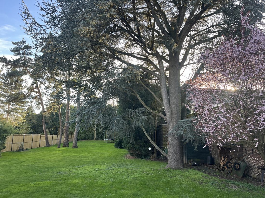 House in Sainghin-en-Melantois, Hauts-de-France, France 5 - 17456337