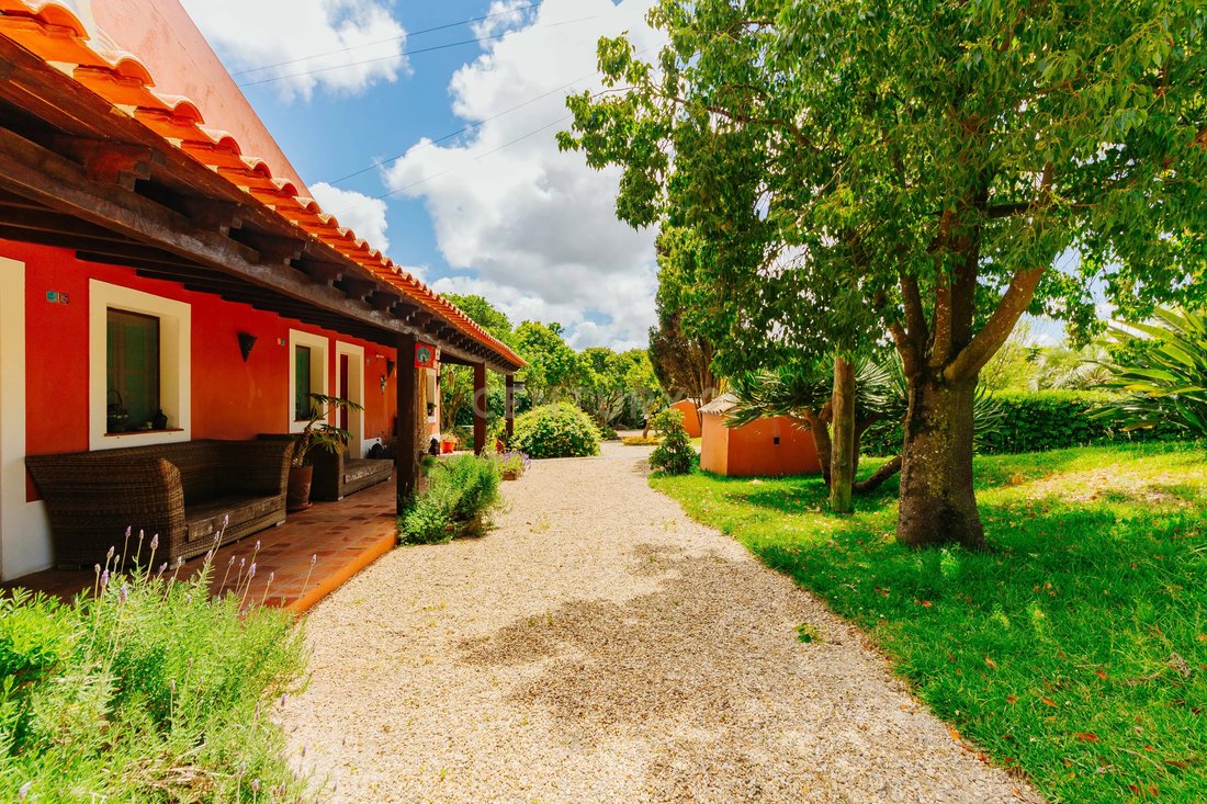 Villa in S.Teotónio, Beja District, Portugal 5 - 17454958
