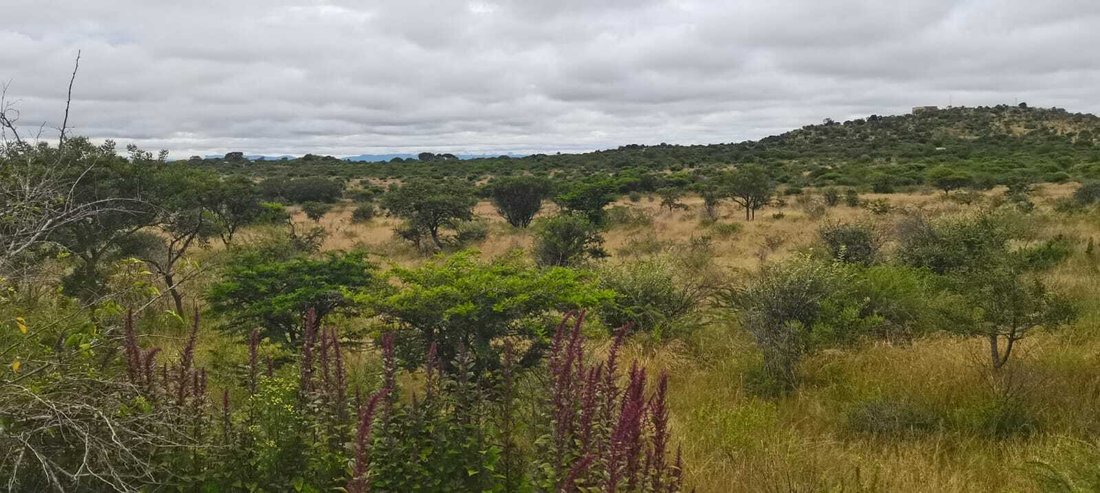 Farm Ranch in Seshego-A, Limpopo, South Africa 3 - 17451834
