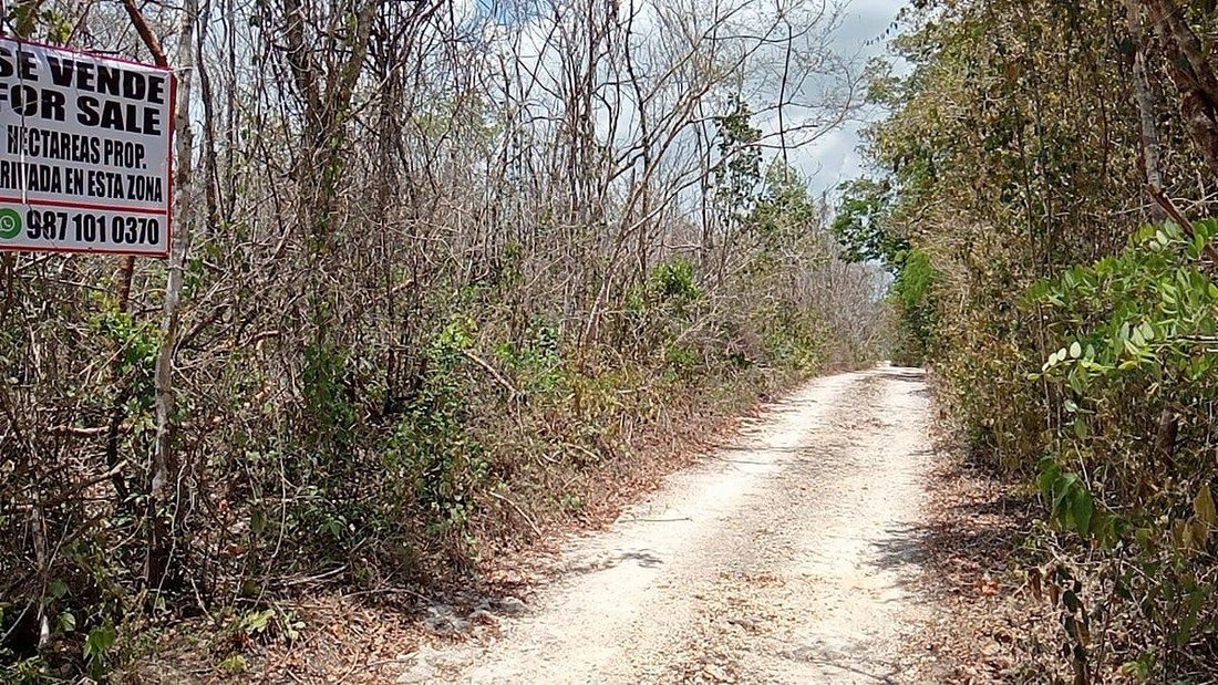 Land in Playa del Carmen, Quintana Roo, Mexico 5 - 17460353