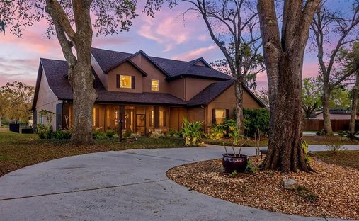 Casa en Lutz, Florida, Estados Unidos 1