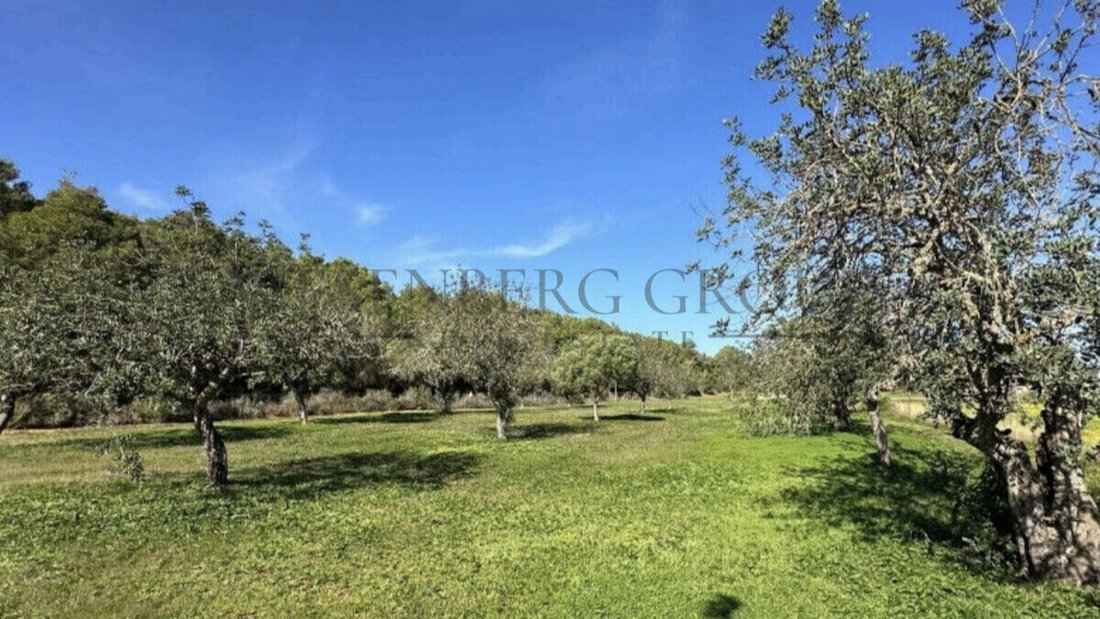 Land in Santa Gertrudis de Fruitera, Santa Eularia des Riu, Balearic Islands 5 - 17451469