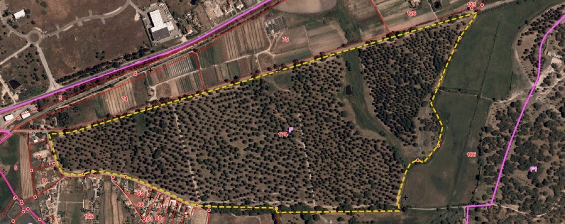 Terreno a Gambia-Pontes-Alto da Guerra, Setúbal Municipality, Portogallo 3 - 17452104