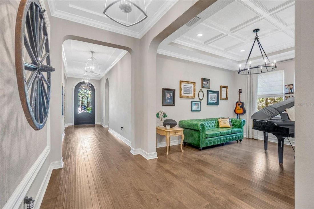 House in Wesley Chapel, Florida, United States 4 - 17457306