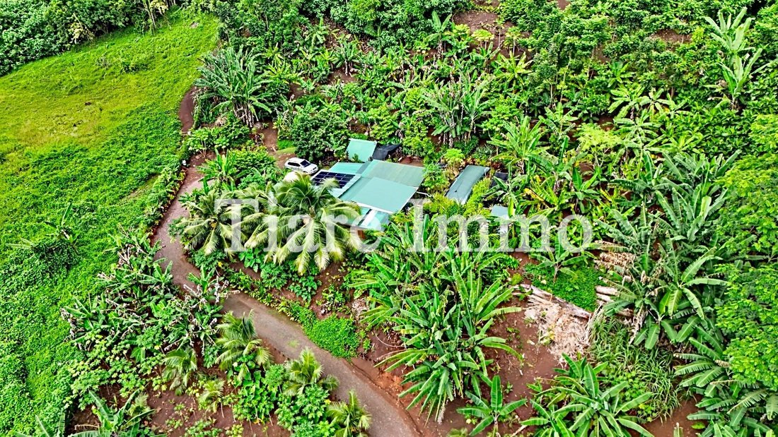 Farm Ranch in Moorea-Maiao, Windward Islands, French Polynesia 3 - 16942031