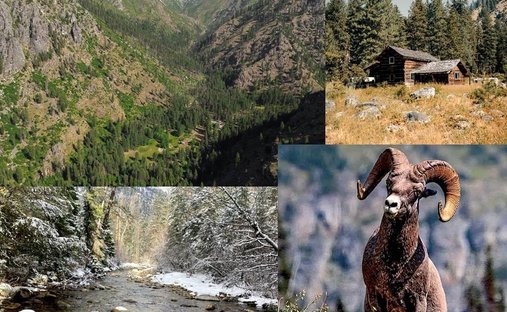 Farm Ranch in Riggins, Idaho, United States 1