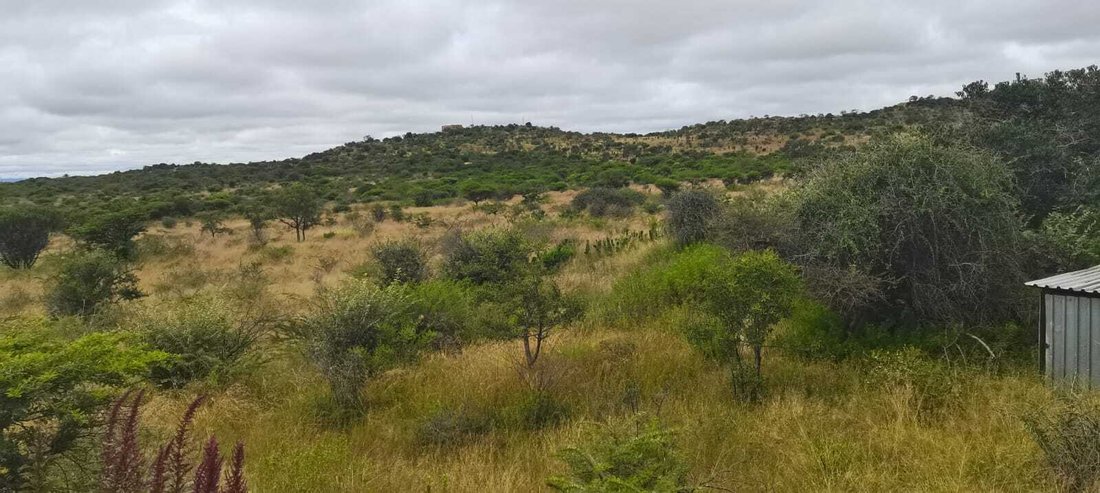 Farm Ranch in Seshego-A, Limpopo, South Africa 4 - 17451834