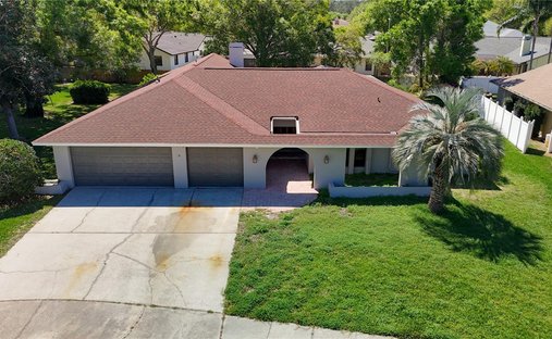 House in Palm Harbor, Florida, United States 1